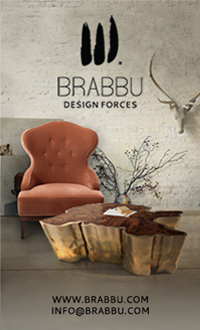 Brabbu Design Forces