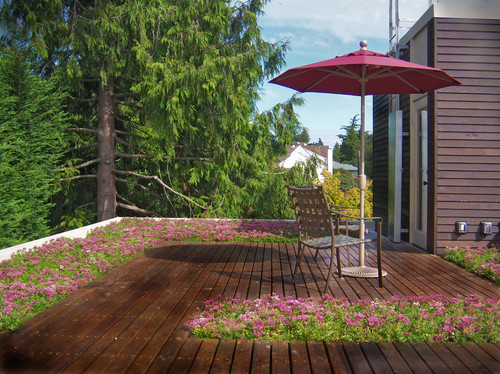 modern-patio-nature-surroundings-new-york-design-agenda