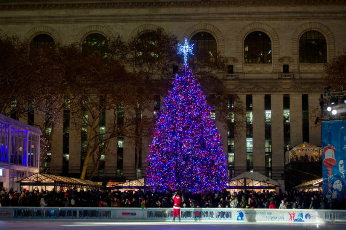 Best Christmas trees in New York_Madison Square Park