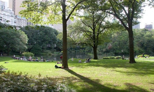 5 things to do in New York City by Time Out NY Central Park